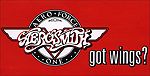 Sticker: Aerosmith Fan Club